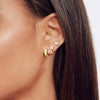 Stella Loop Earrings Set