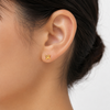 Tiny Star ballback Earrings