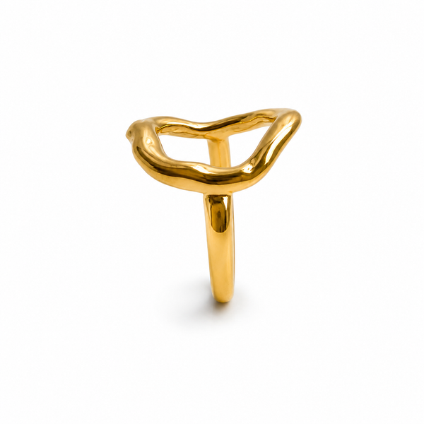 Raw Circle Ring