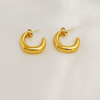Power loop earrings