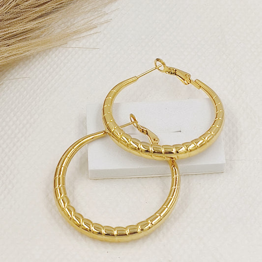 Circle Hoops Earrings